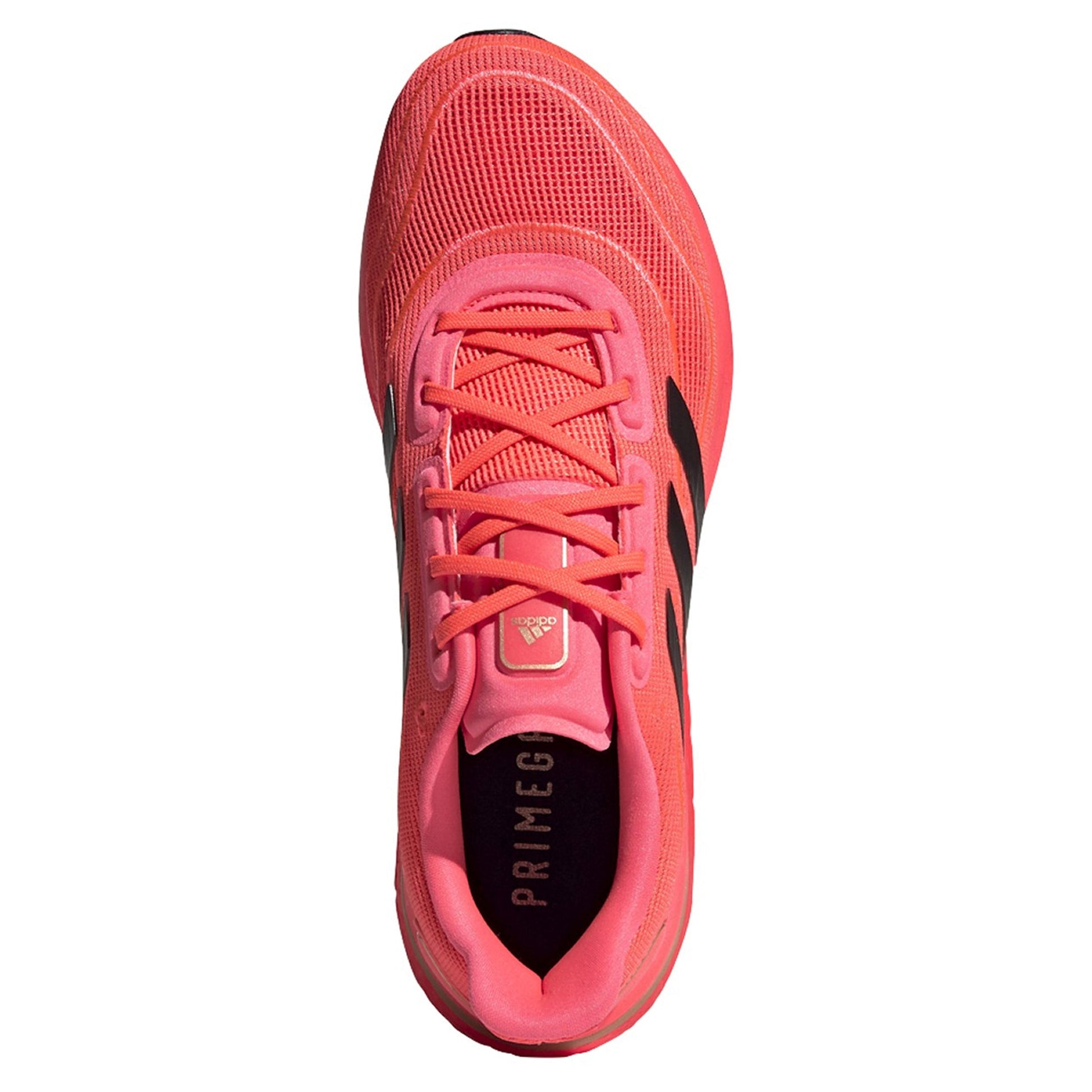 Sigpnk,Cblack,Coppmt-