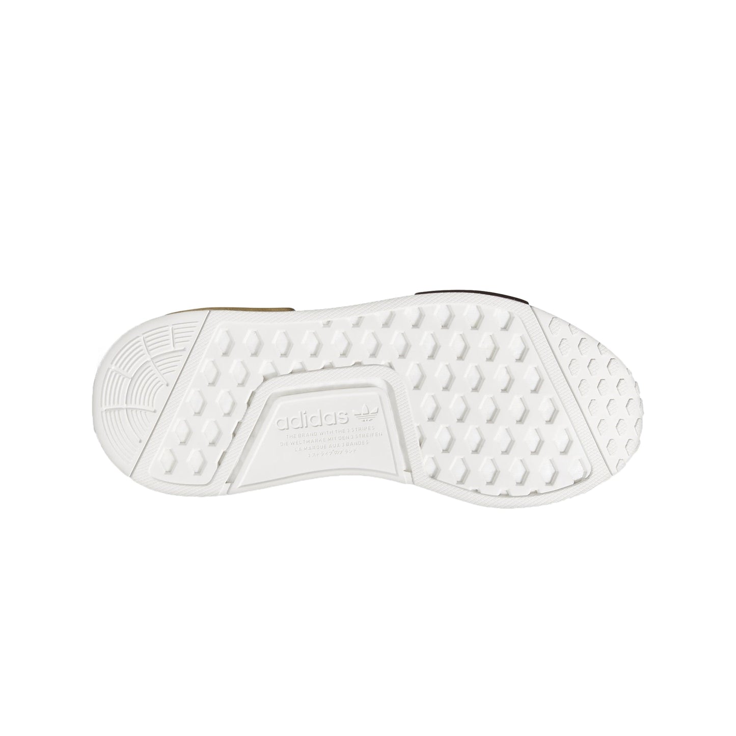 Maroon,Maroon,Glored-