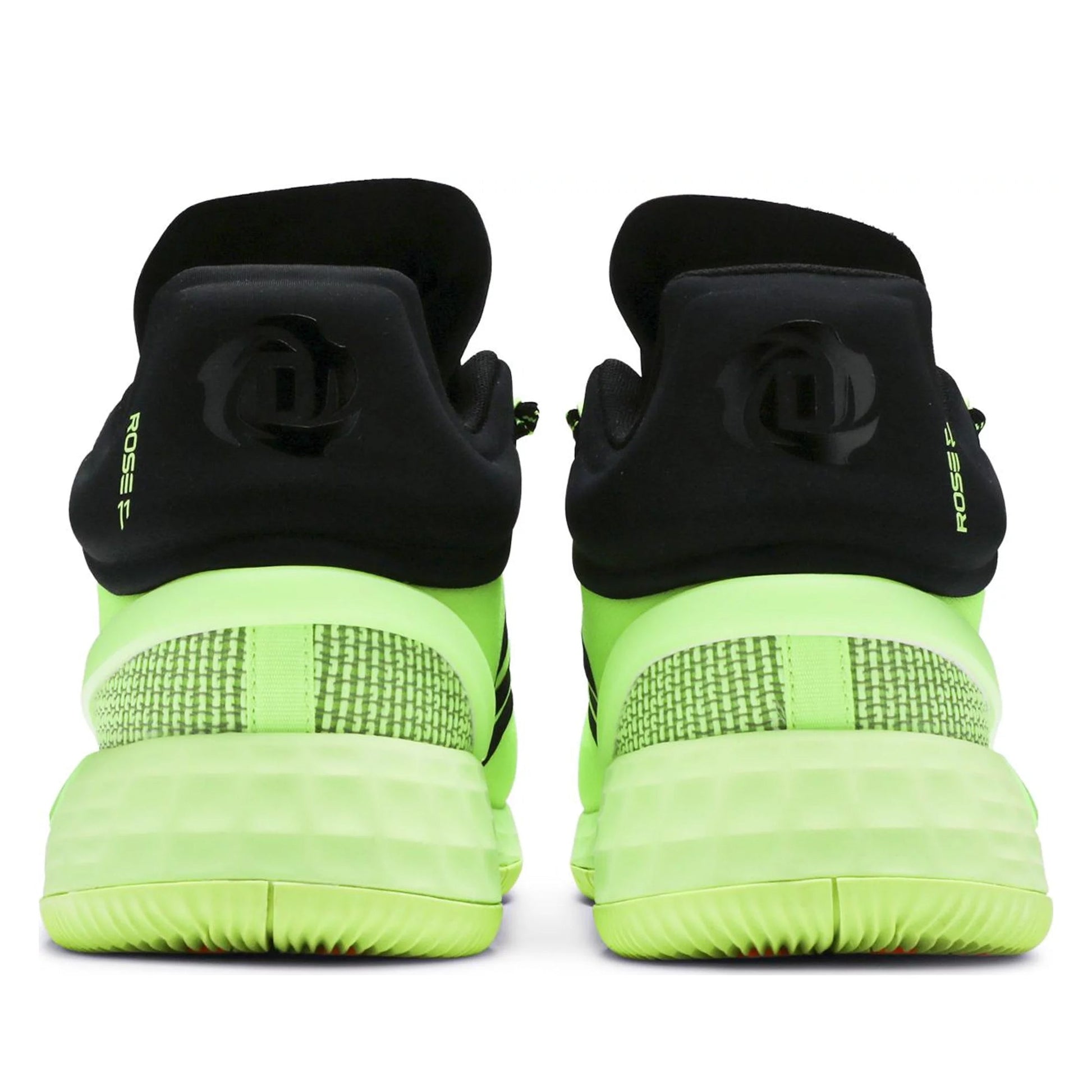 Siggnr,Cblack,Siggnr-