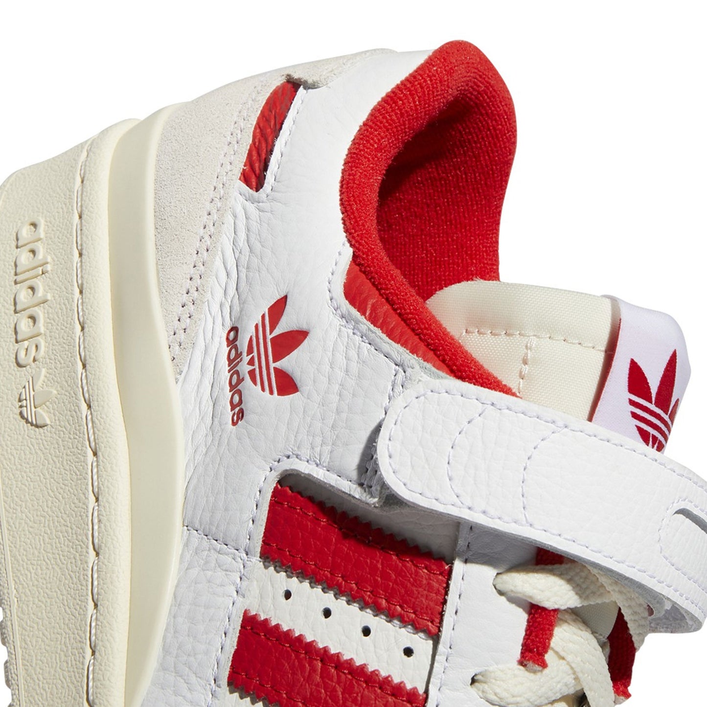 Ftwwht,Vivred,Cwhite-