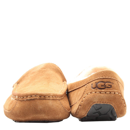 UGG Men's Ascot Slippers
