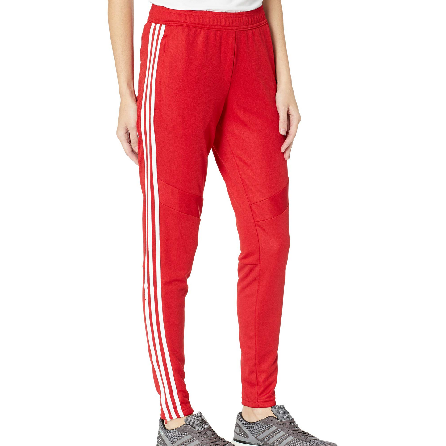 Women's adidas Tiro19 Training Pant