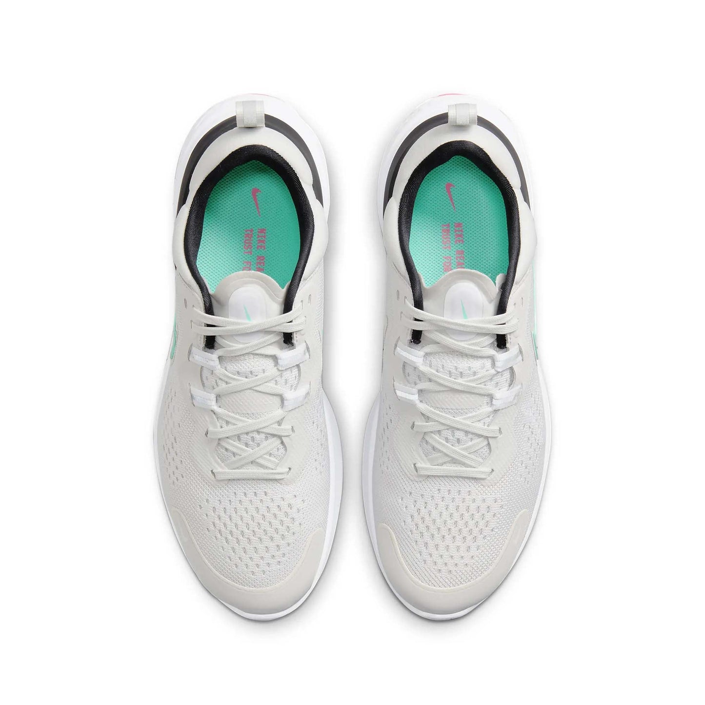 Platinum Tint/Dynamic Turquoise-