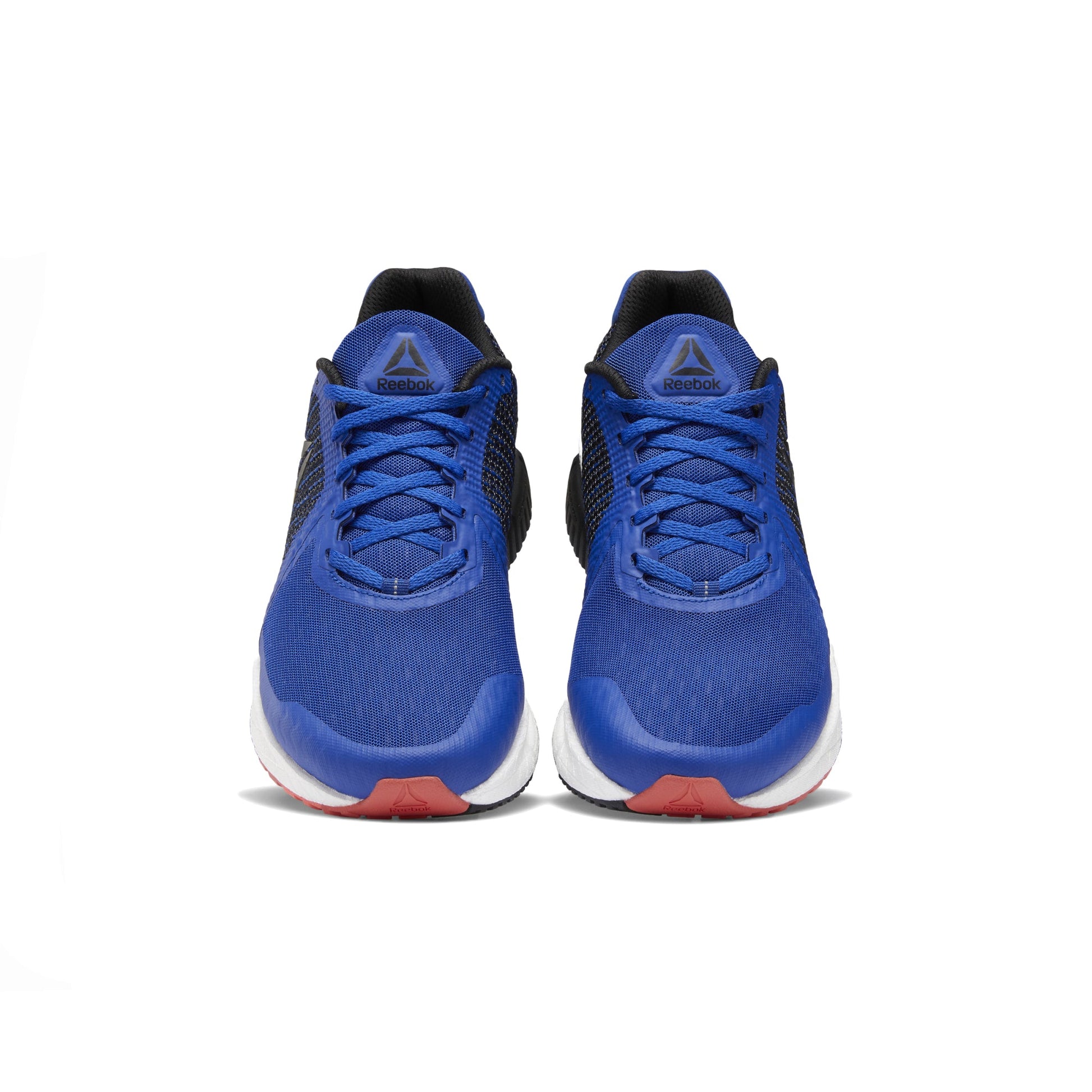 Cobalt/Black/Rosett-