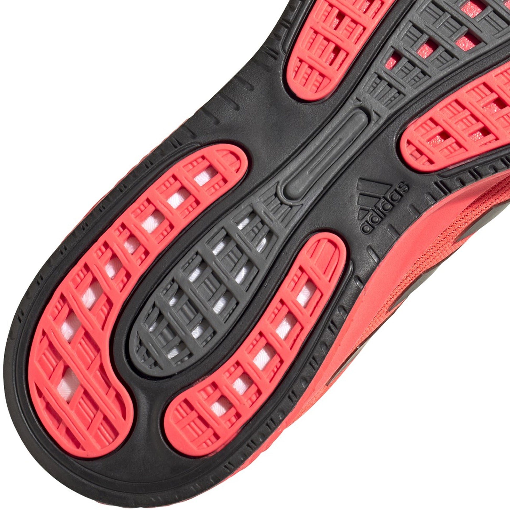 Sigpnk,Cblack,Coppmt-