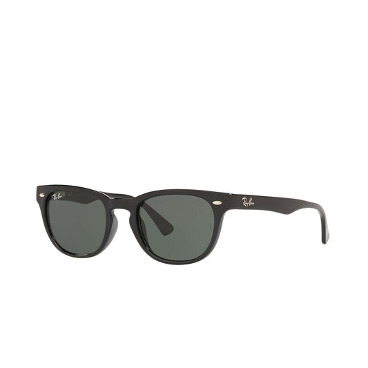 Men's Ray-Ban Wayfayer Sunglasses