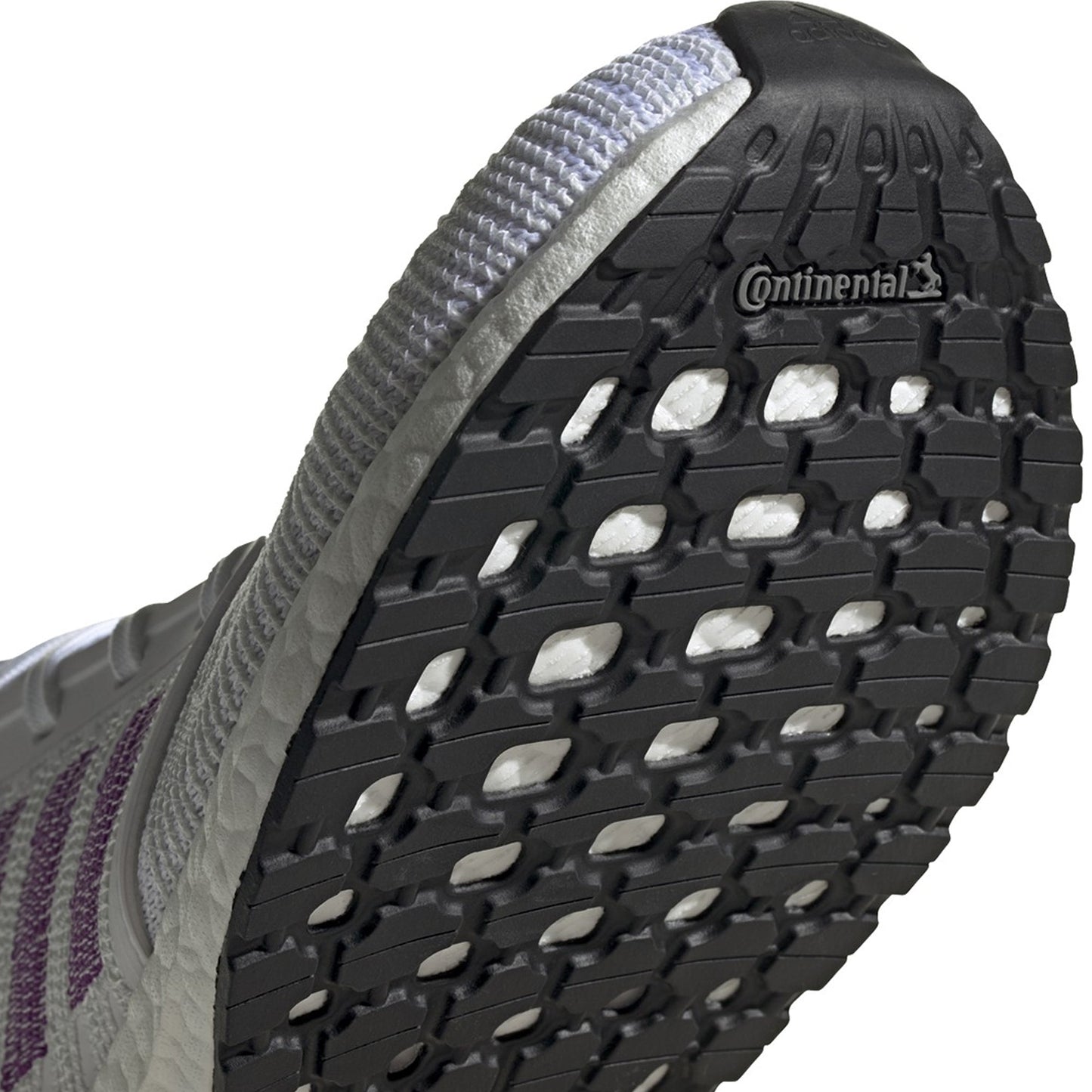 Ftwwht,Gloprp,Shored-