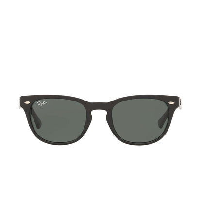 Ray-Ban Men's Wayfayer Sunglasses
