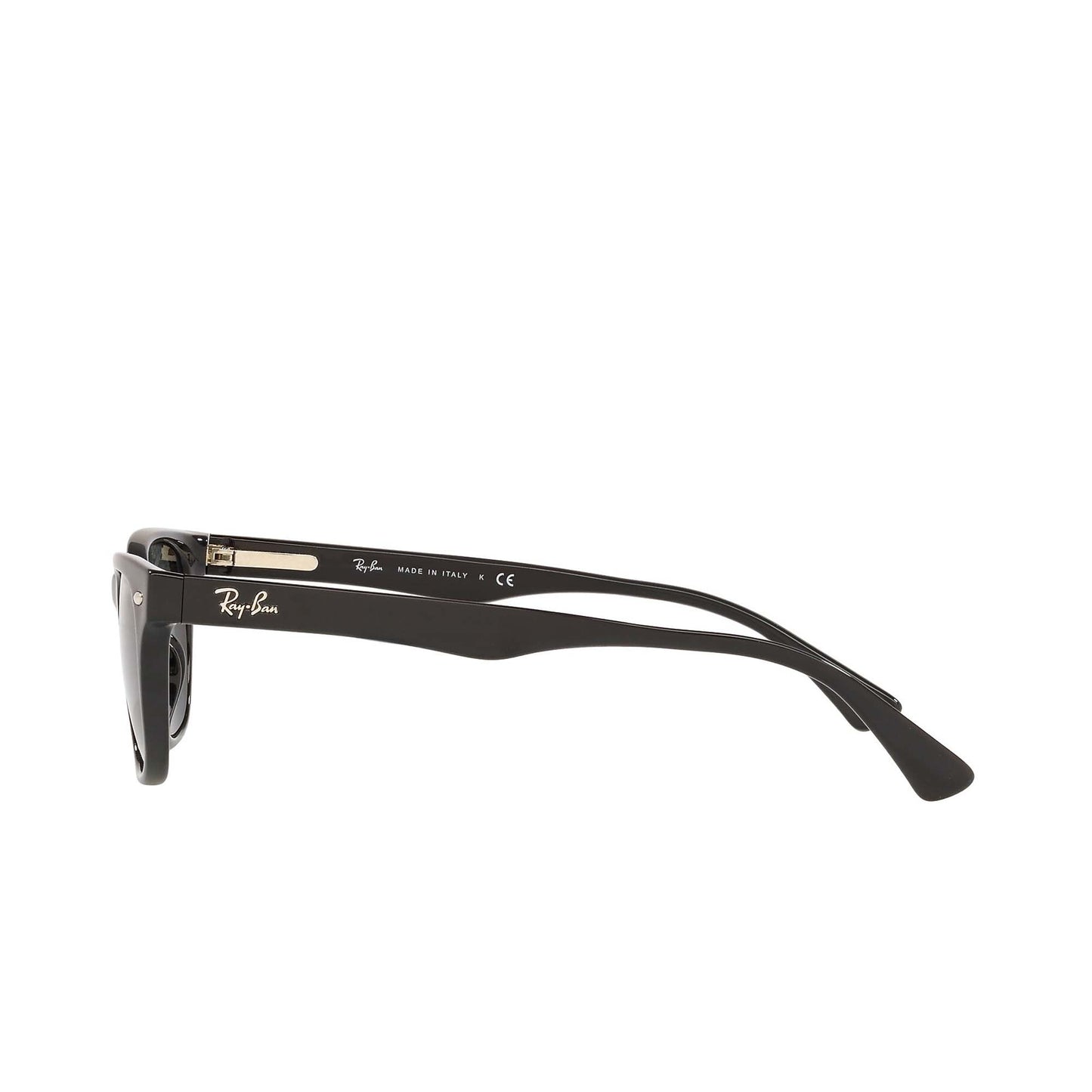 Men's Ray-Ban Wayfayer Sunglasses