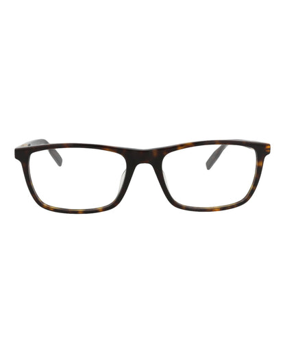 Havana Gold Transparent-