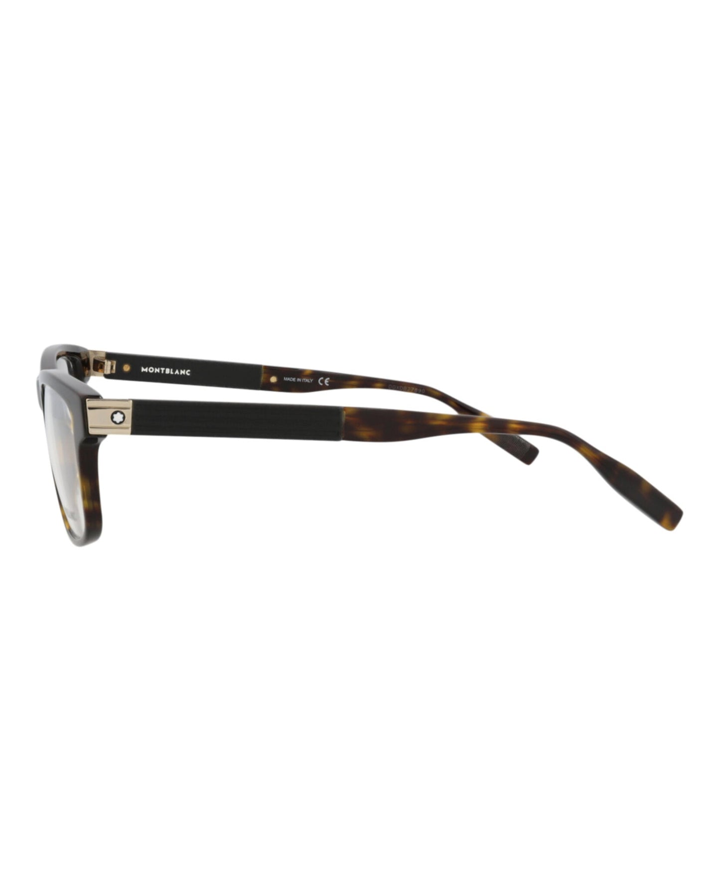 Havana Havana Transparent-