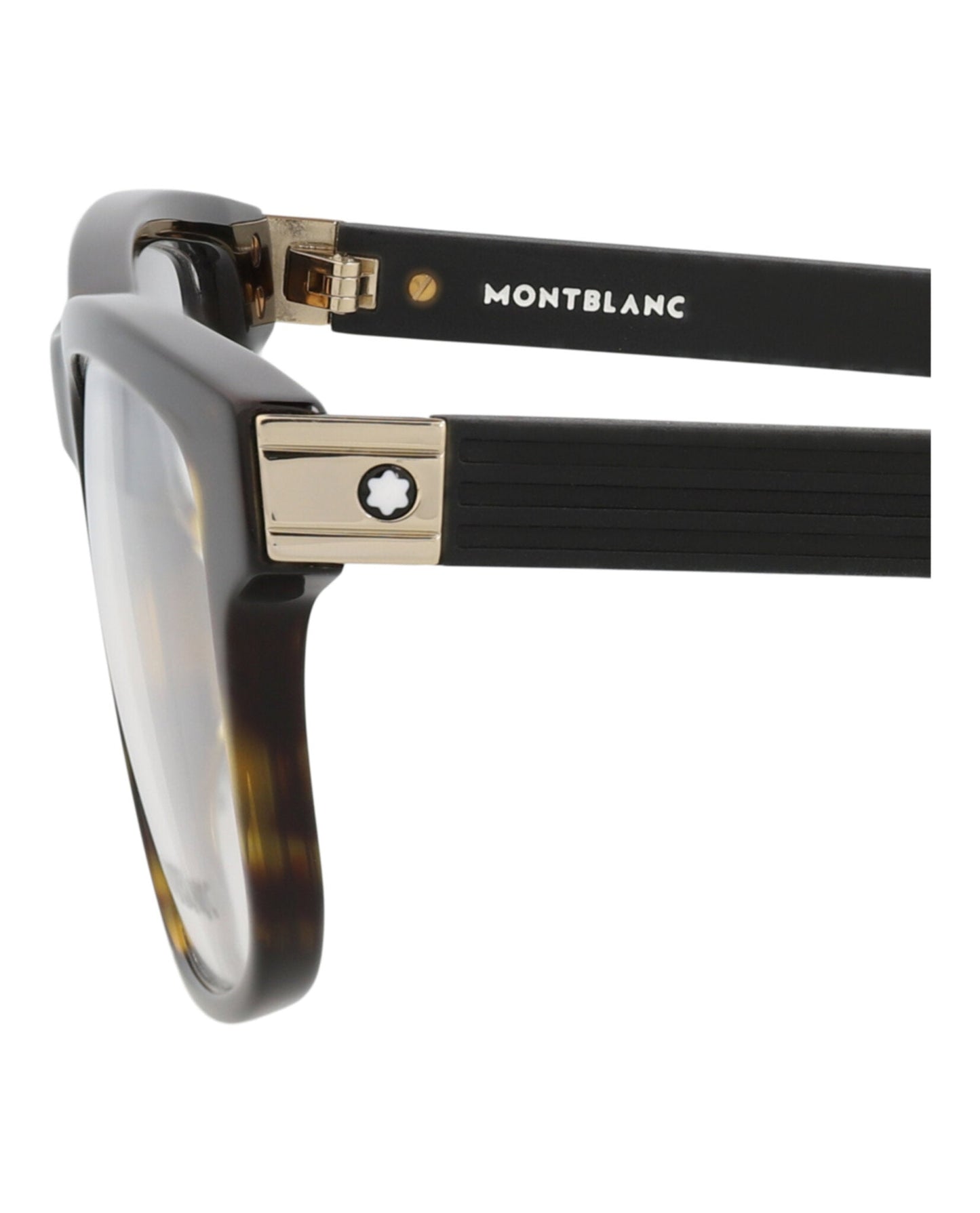 Havana Havana Transparent-