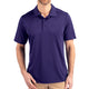 College Purple