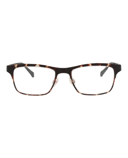 Tortoise Tortoise Transparent-