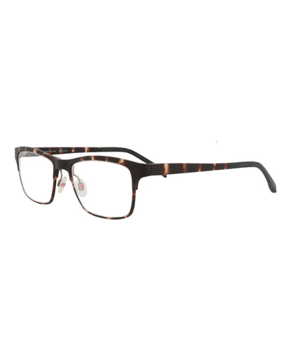 Tortoise Tortoise Transparent-