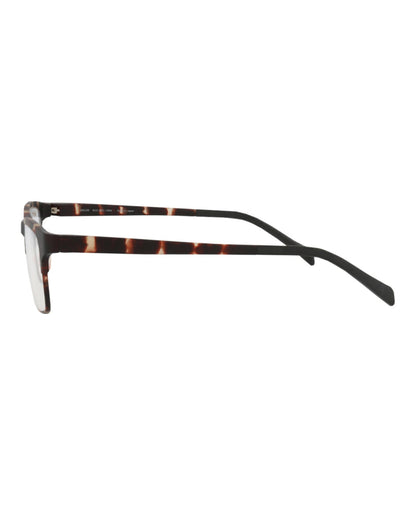 Tortoise Tortoise Transparent-