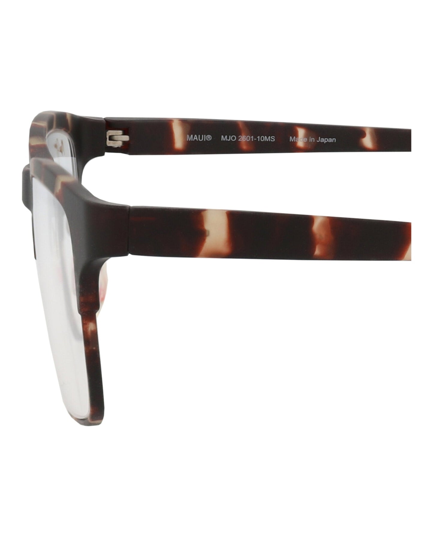 Tortoise Tortoise Transparent-