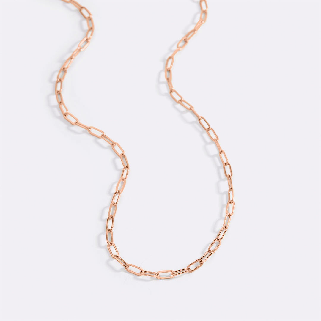 Mint & Lily Thin Paperclip Necklace