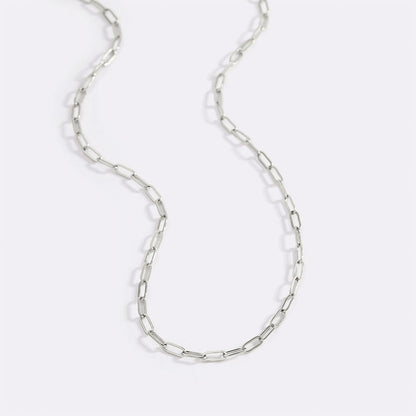 Mint & Lily Thin Paperclip Necklace