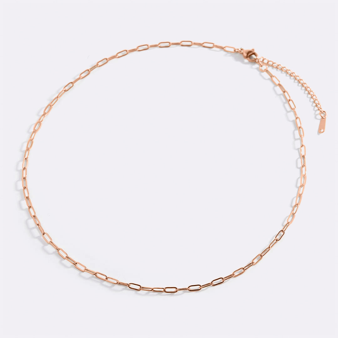Mint & Lily Thin Paperclip Necklace