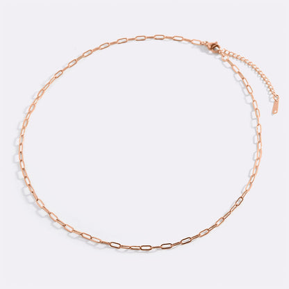 Mint & Lily Thin Paperclip Necklace