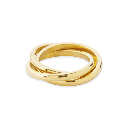 Mint & Lily Dainty Interlocking Fidget Ring