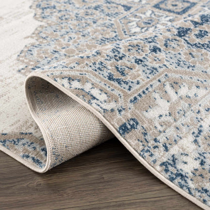 Amir Area Rug - Clearance