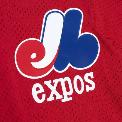 Mitchell & Ness Men's MLB Authentic Bp Jersey - Pullover Expos 1989 Larry Walker Jerseys