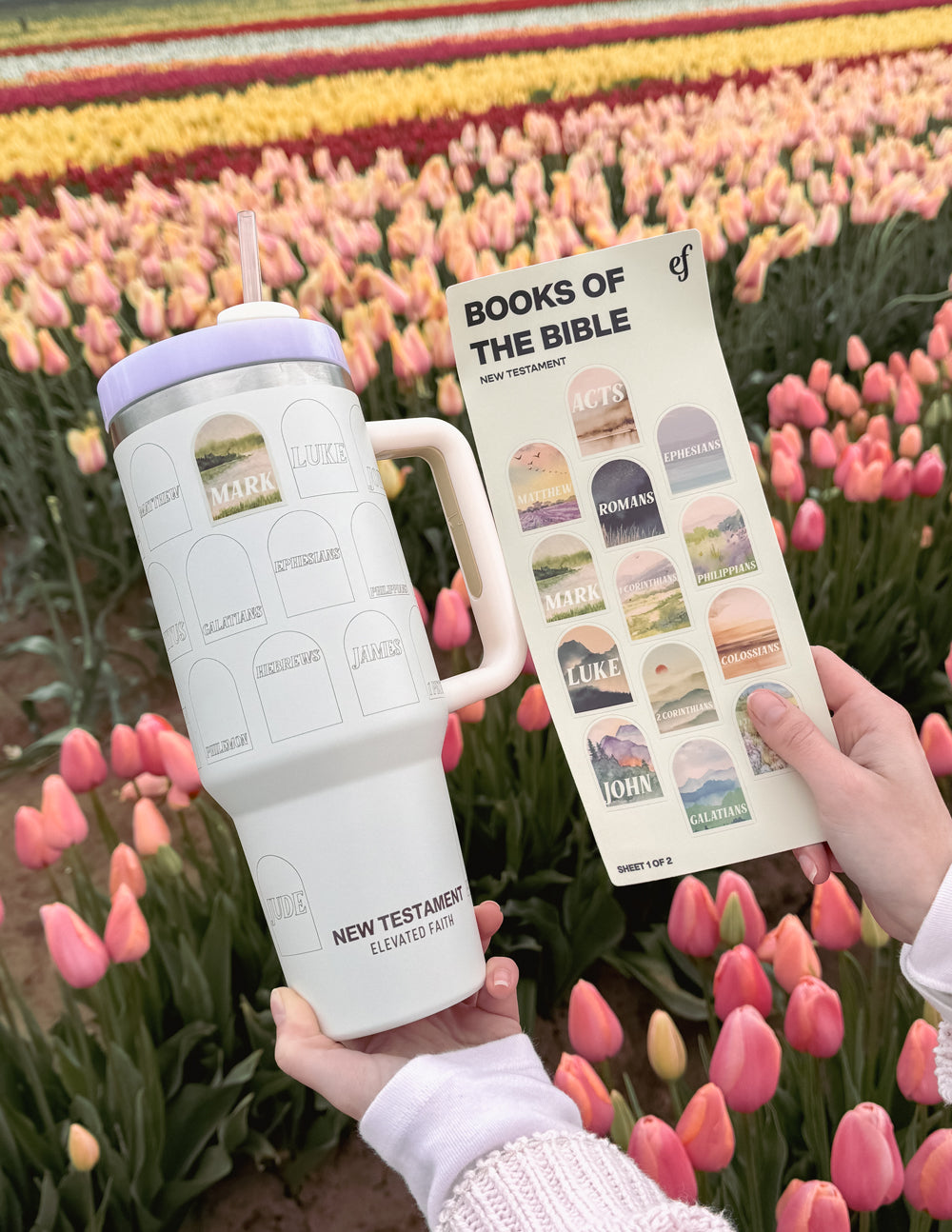 Elevated Faith NT Bible Checklist 40 oz Tumbler