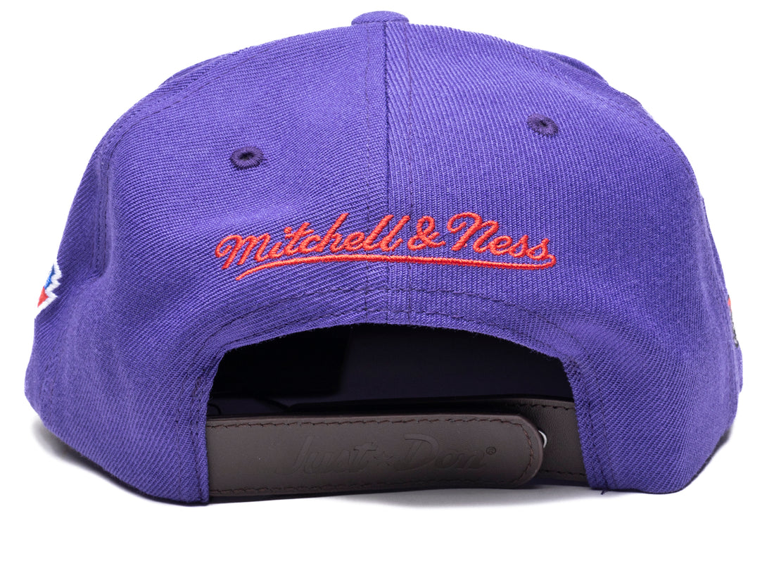 Men's Mitchell & Ness NBA Just Don Draft Snapback Hwc Raptors - Purple
