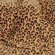 Classic Leopard