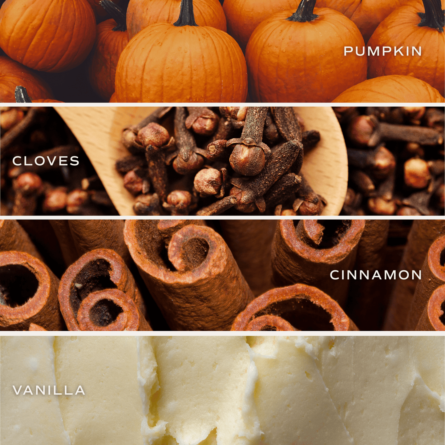 Pumpkin Spice Soy Candle - Boxed Tinted Glass Jar - 12 oz