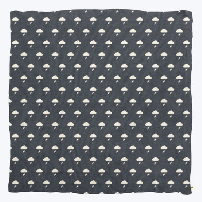 Premier Plush™ Blanket