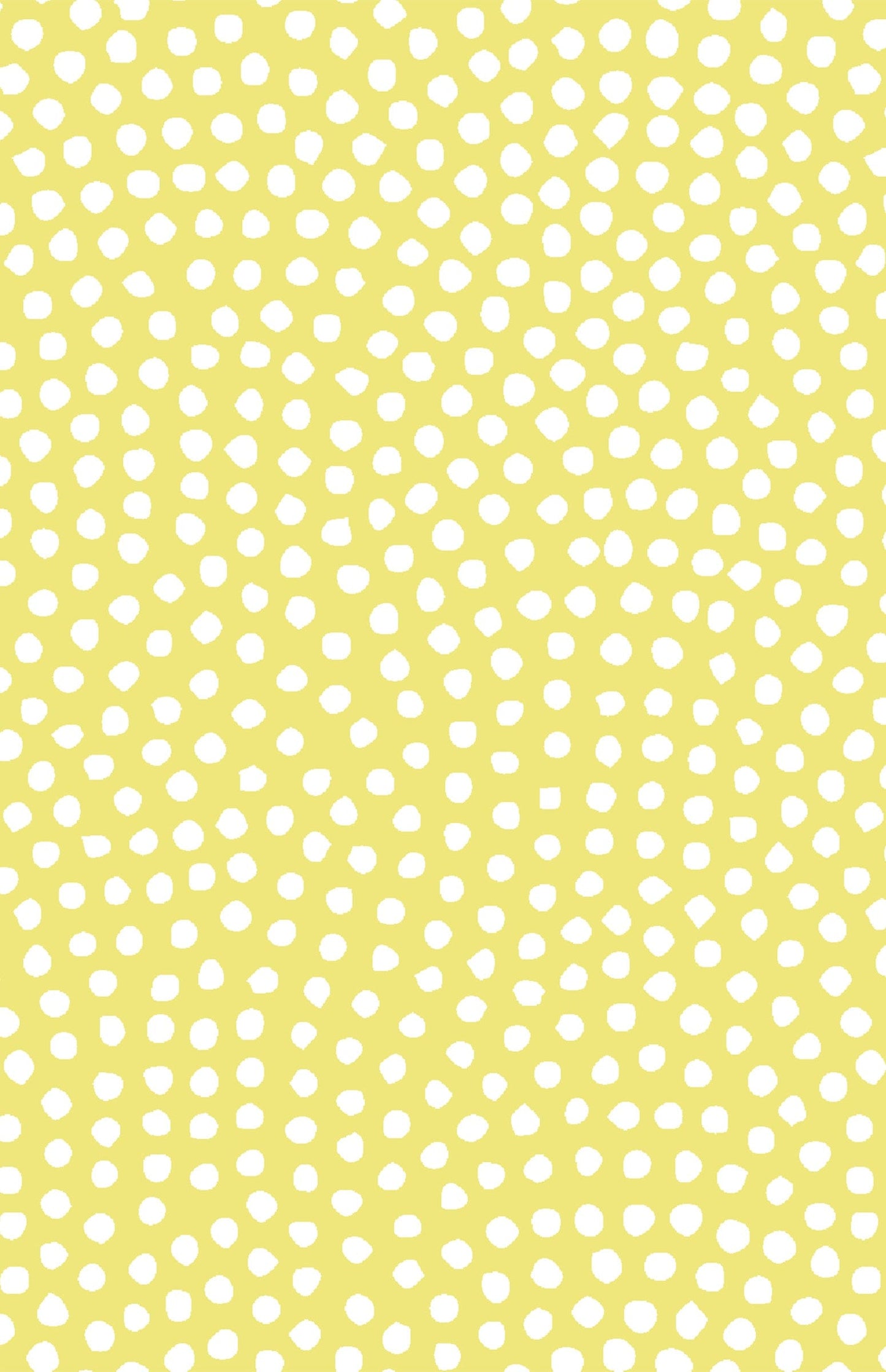 Jayana Top - Tangled Dots