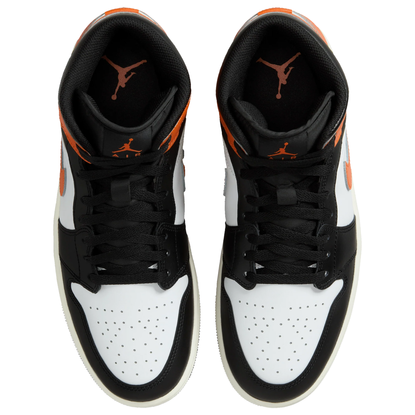 Starfish / White / Sail / Black-