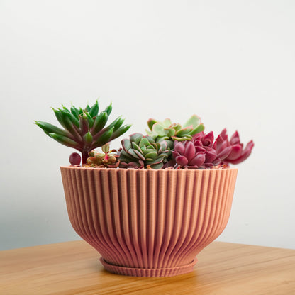 Bonsai Pot with Drainage & Tray