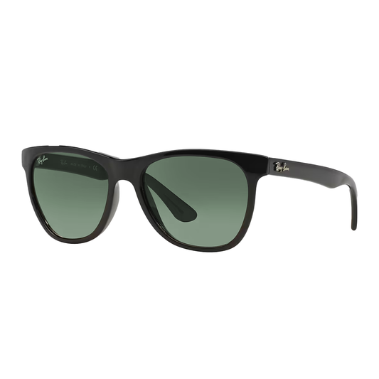 Men's Ray-Ban Wayfarer Sunglasses