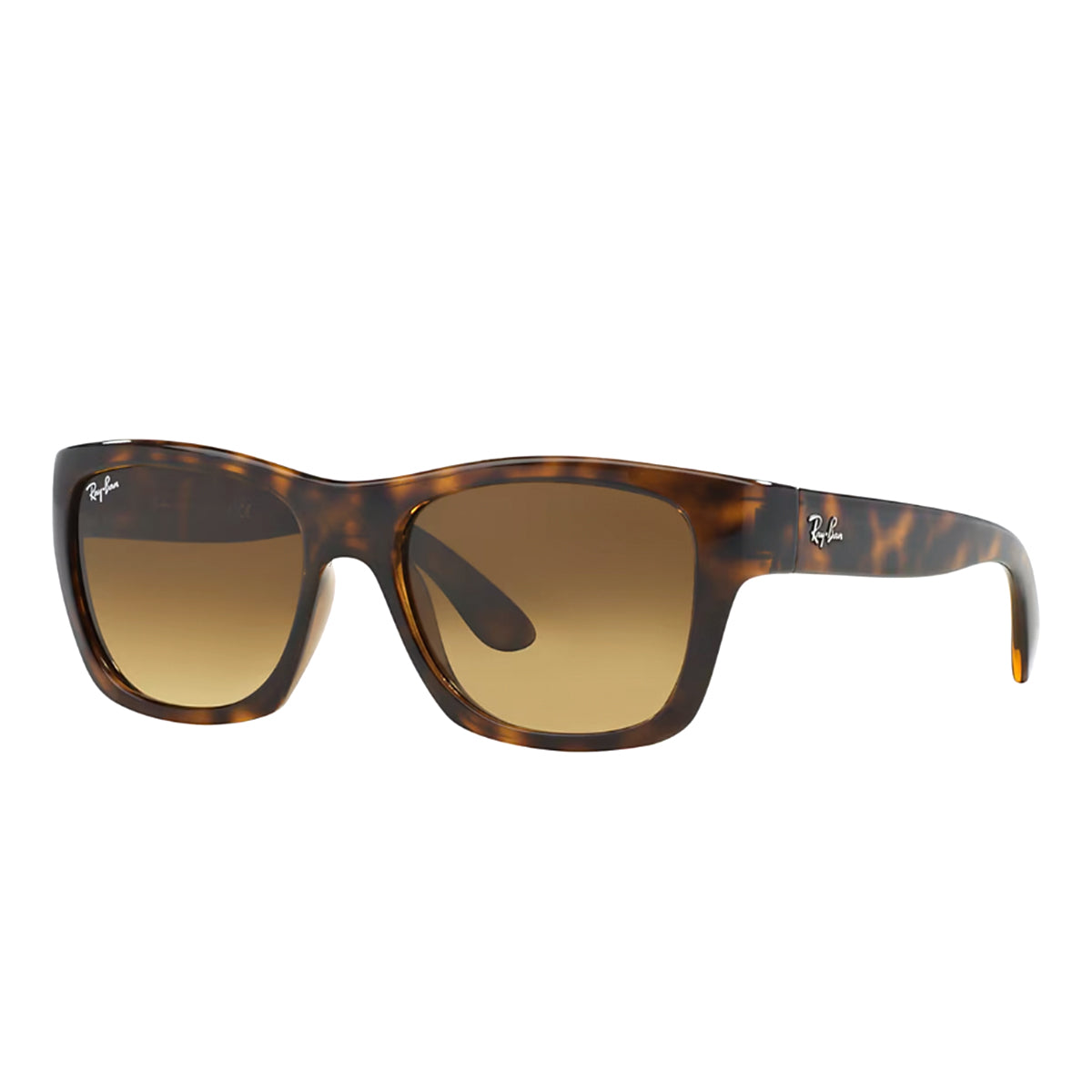 Light Havana / Brown Gradient Dark Brown-
