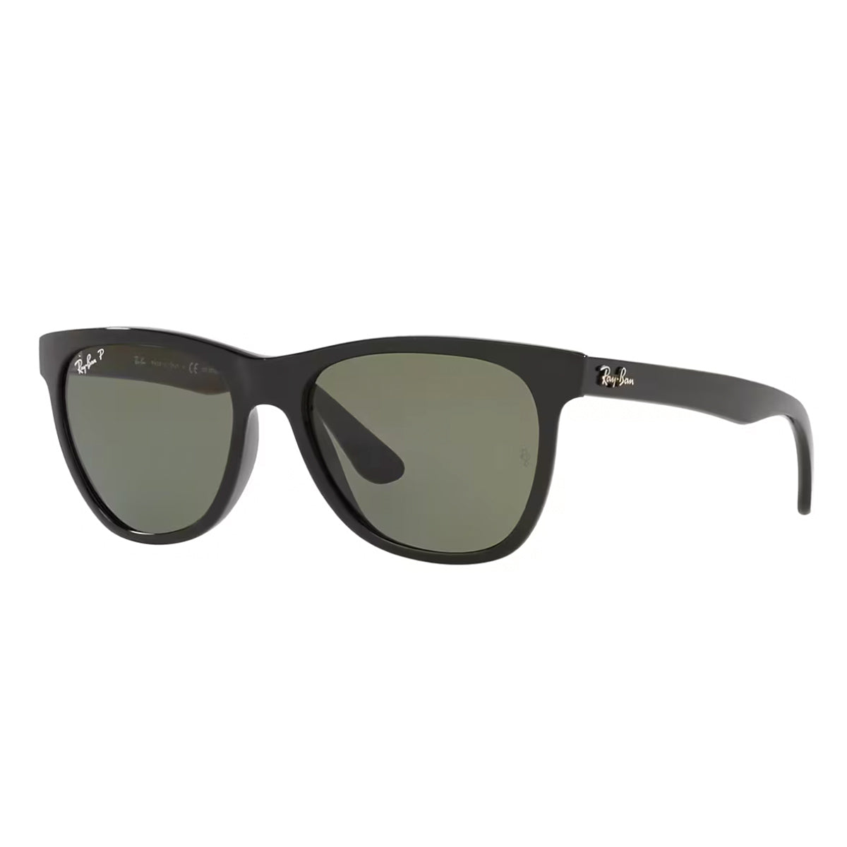 Ray-Ban Men's Square Polarized Sunglasses RB4184