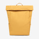 New Mustard