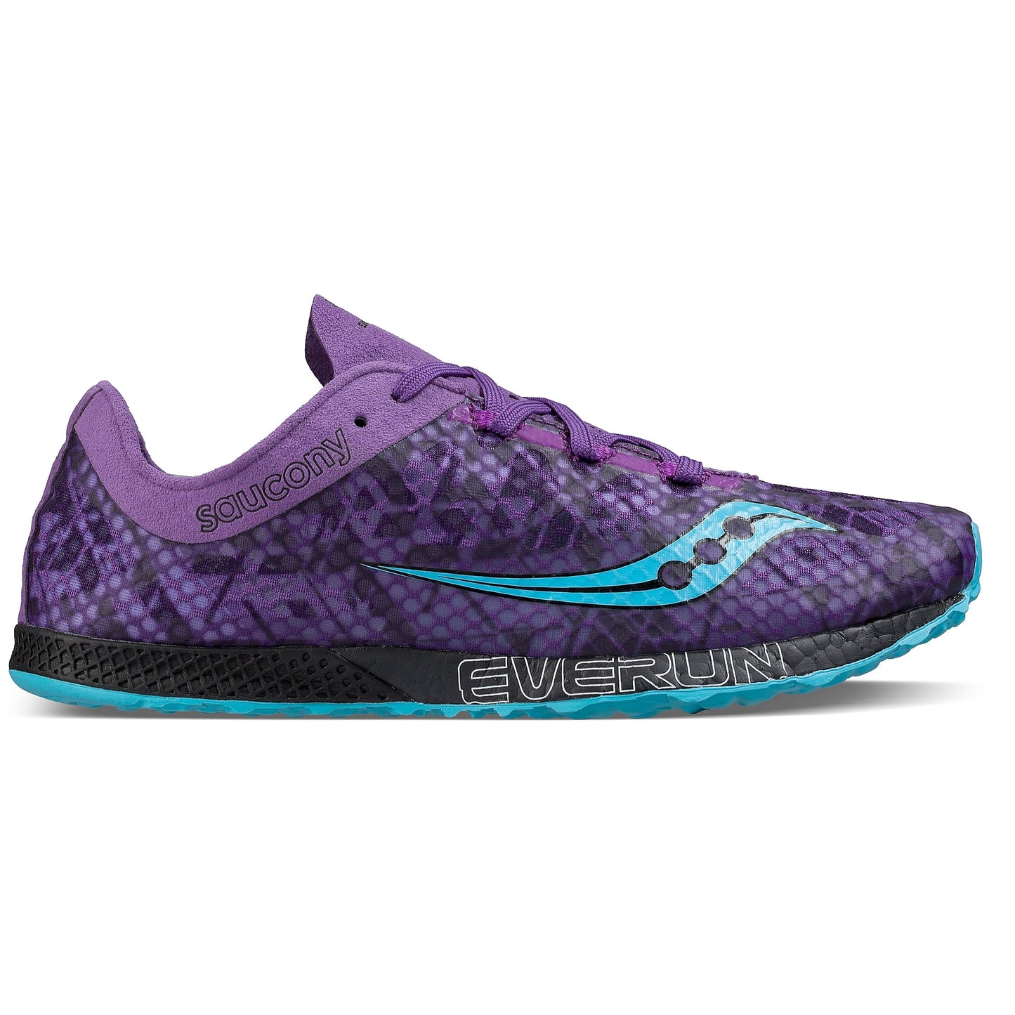Purple/Teal-