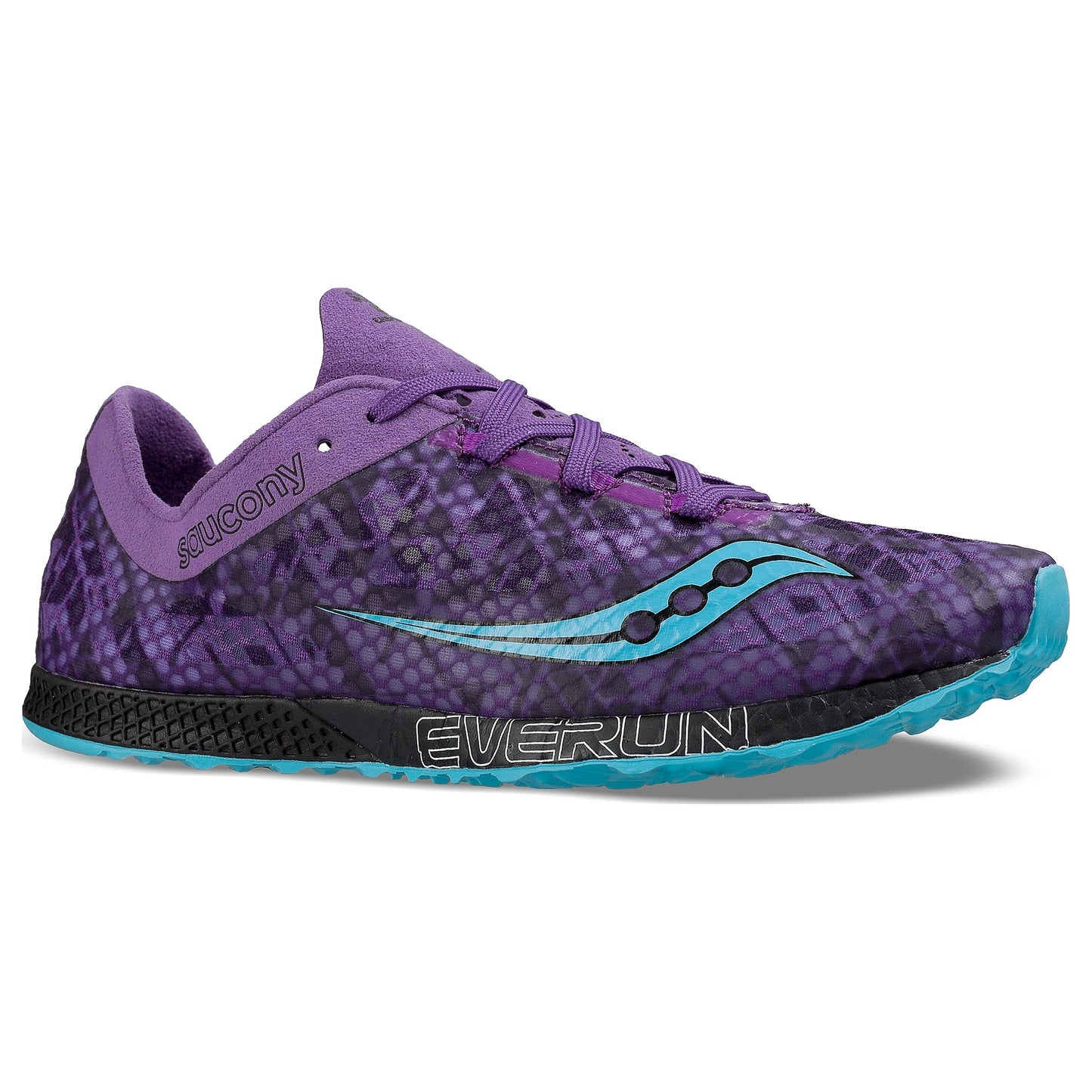 Purple/Teal-