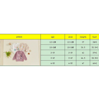 Baby Toddler Kids Girls Big Sister Fall Winter Sweater Casual Letter Flower Embroidery Crew Neck Long Sleeve Pullover Top