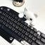 Black Cat