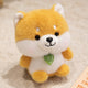 Shiba Inu