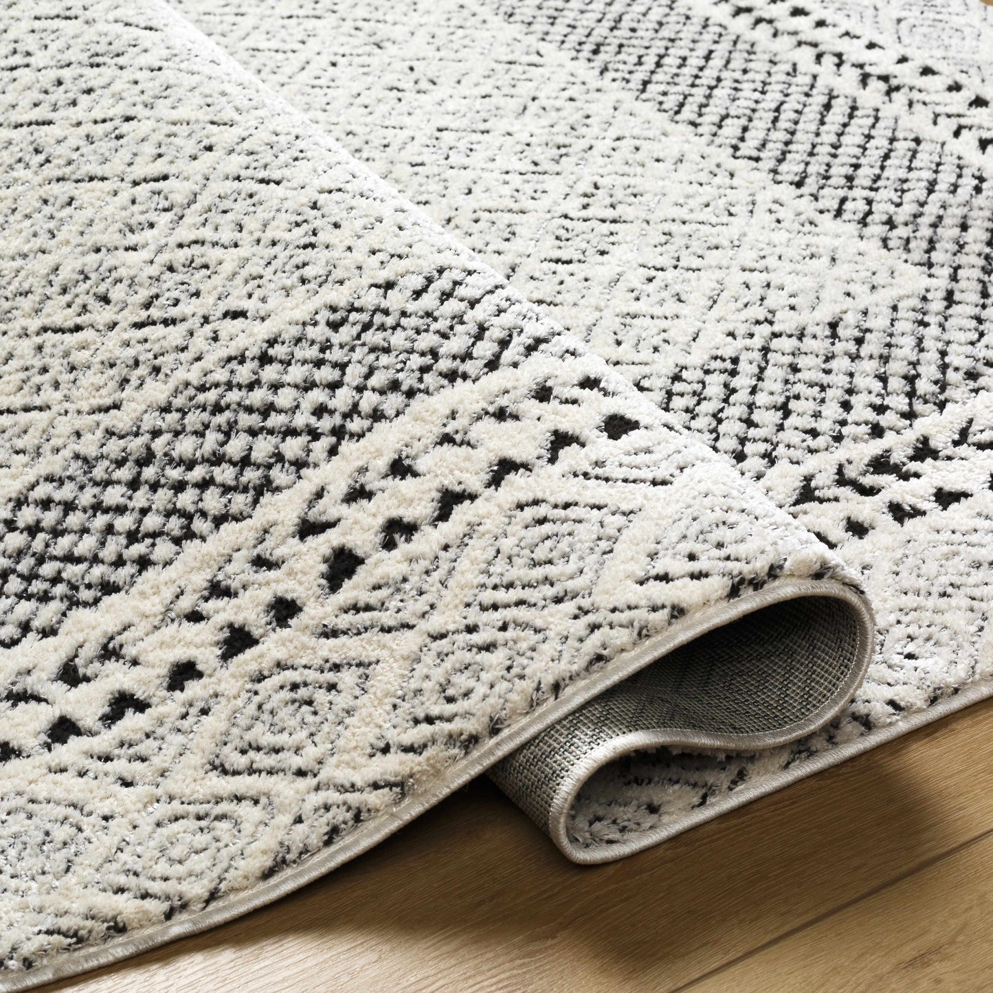 Julio Area Rug