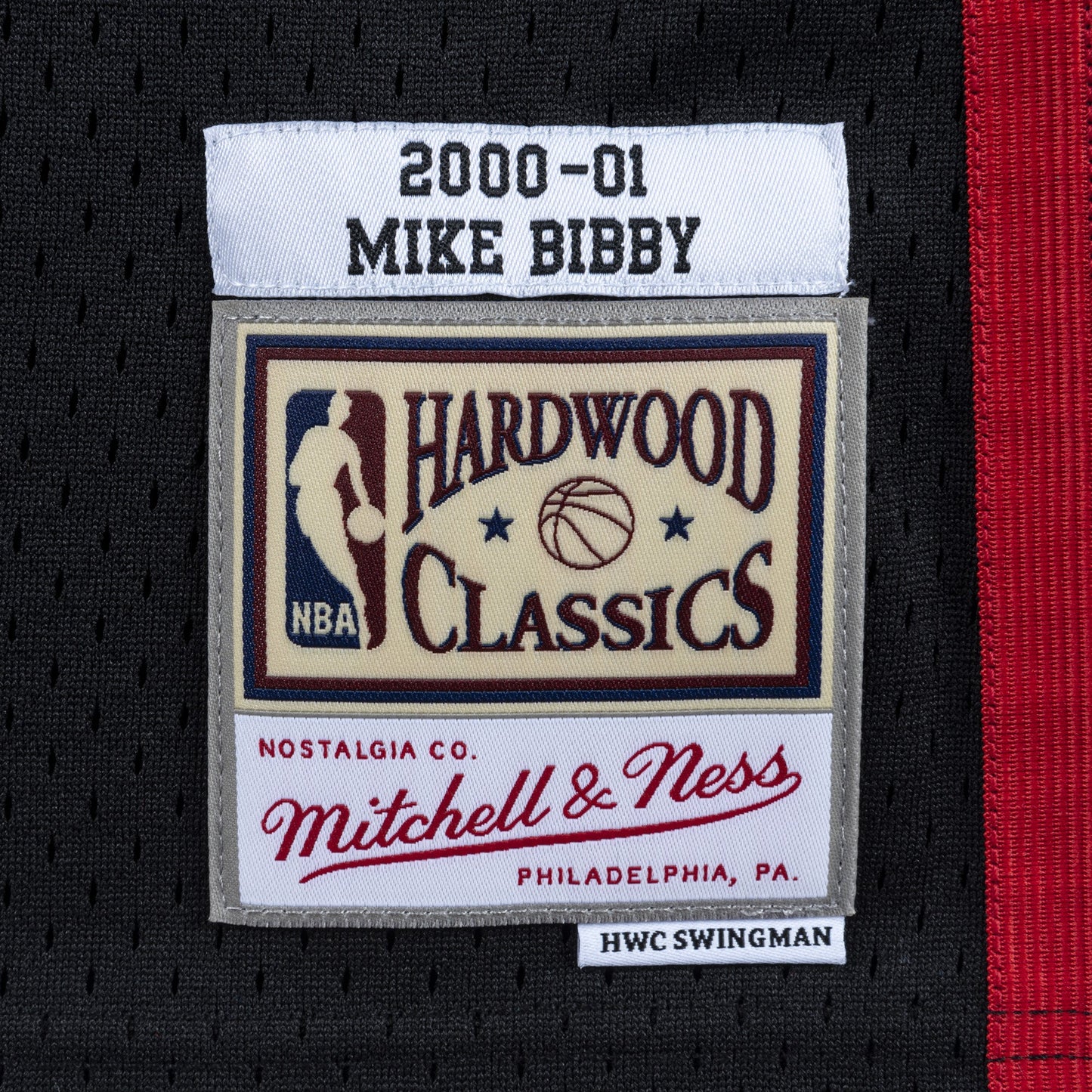 Mitchell & Ness Men's NBA Swingman Jersey Grizzlies 00 Mike Bibby