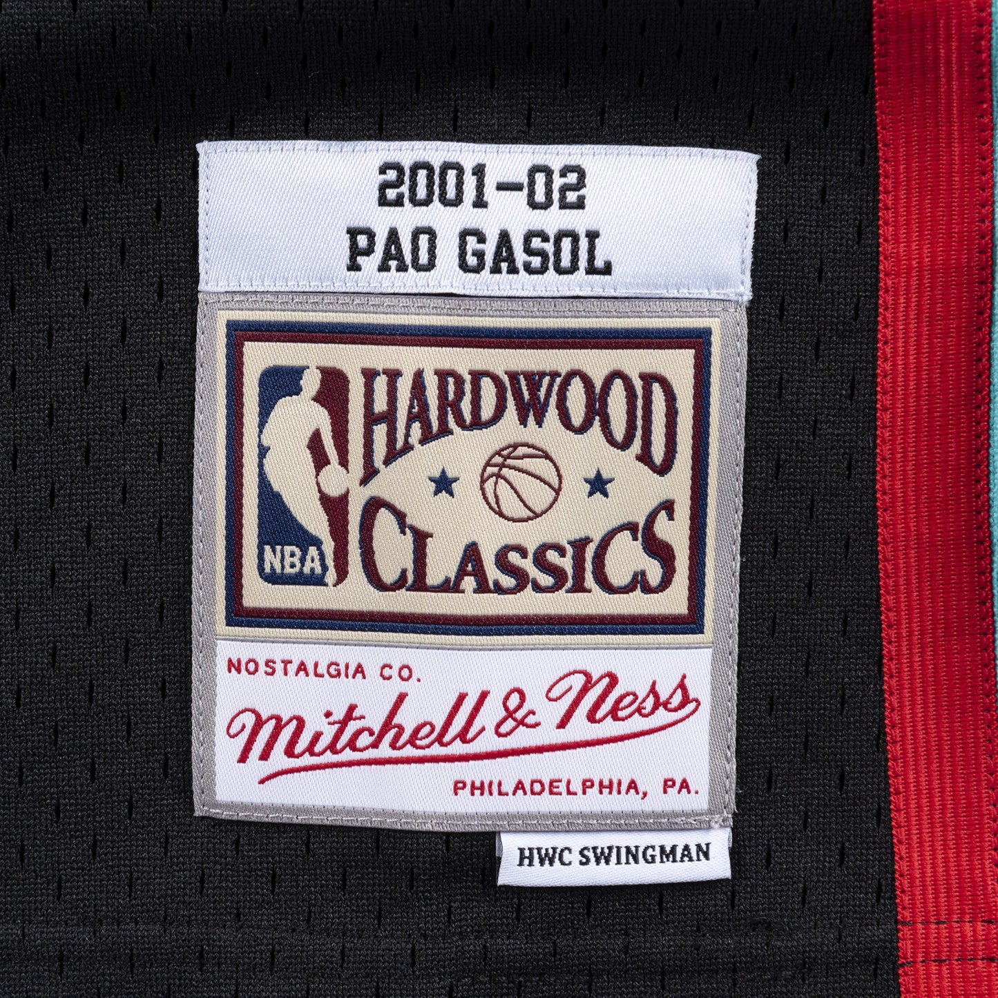 Mitchell & Ness Men's NBA Swingman Jersey Grizzlies 2001 Pau Gasol