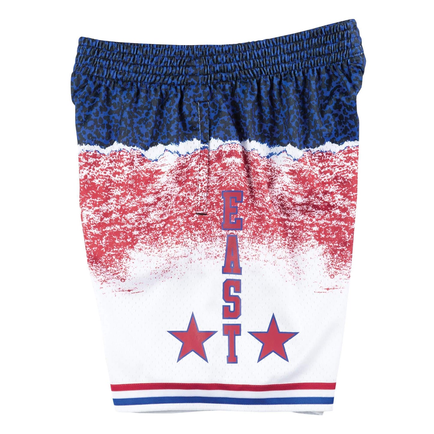 Mitchell & Ness Men's NBA Sublimated Swingman Shorts All Star East 03