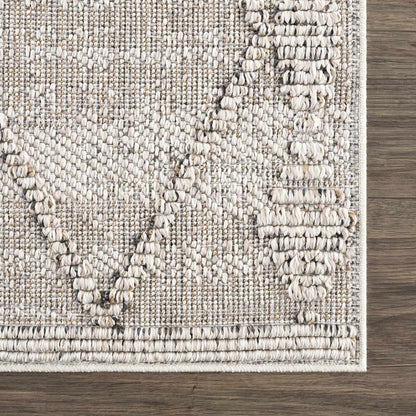 Nyla Bone Indoor & Outdoor Rug - 2x3 - Clearance